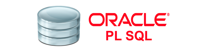 Data Engineering: SQL/PLSQL